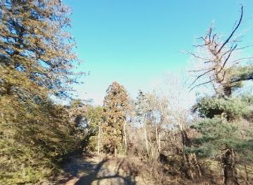 new-york/leatherstocking-region/attraction/malcolm-wilson-county-park