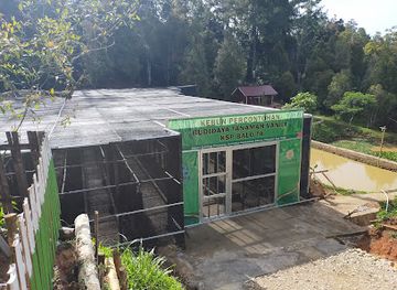 indonesia/tana-toraja/attraction/kebun-percontohan-vanili-ksp-balo-ta-kerjasama-lpdb-kumkm