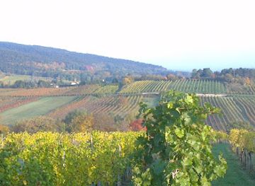 austria/thermenregion/attraction/winery-wolflinger-karl-karin