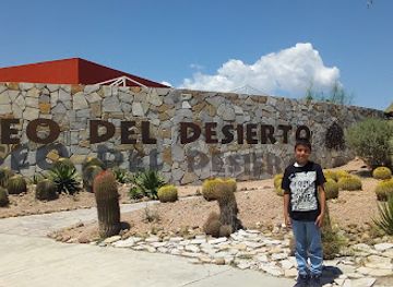 mexico/central-mexico/attraction/museo-del-desierto