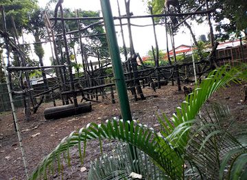 nigeria/calabar/attraction/pandrillus-nigeriadrill-ranch