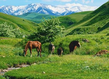 kazakhstan/altyn-emel-national-park/attraction/chulak-gorge
