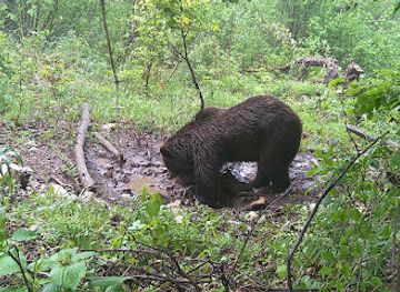 slovenia/postojna/attraction/forest-adventures-lovstvo-sportne-dejavnosti-in-dejavnosti-za-prosti-cas-d-o-o