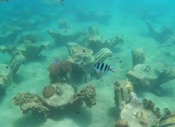 malaysia/tioman-island/attraction/tioman-marine-park