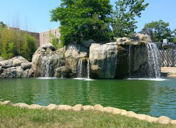 rhode-island/warwick/attraction/roger-williams-park-zoo