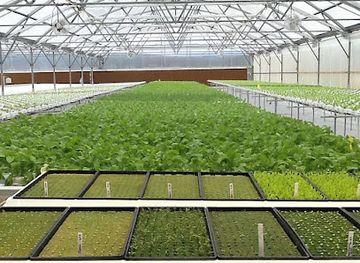 vermont/sugarbush-resort/attraction/green-living-now-llc