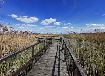poland/podlachia/attraction/footbridge-among-marshes