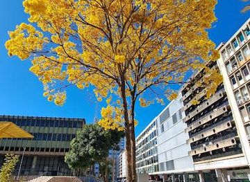 brazil/brasilia/attraction/praca-do-povo