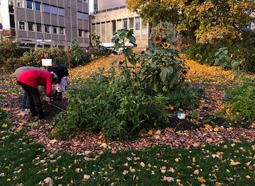 norway/hafjell/attraction/mulighetenes-hage