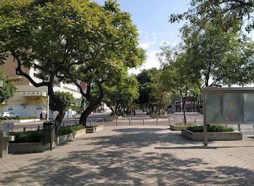 mexico/guadalajara/chapultepec/attraction/camellon-chapultepec