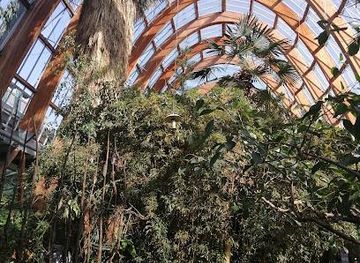 united-kingdom/leeds/attraction/sheffield-winter-garden