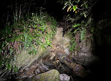new-zealand/queenstown/attraction/glowworm-gully