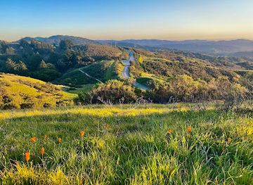 california/redwood-national-and-state-parks/attraction/windy-hill-open-space-preserve