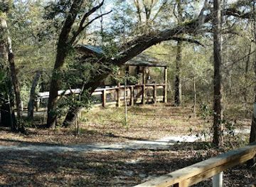 florida/suwannee-river/attraction/dowling-park-river-camp