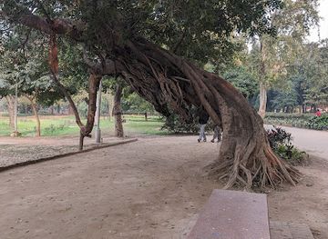 pakistan/lahore/attraction/the-borhi-tree