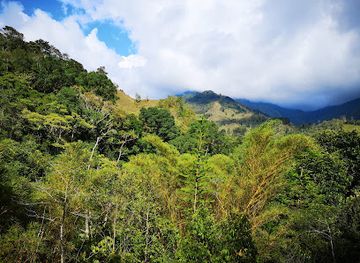 costa-rica/brunca-region/attraction/jardines-secretos