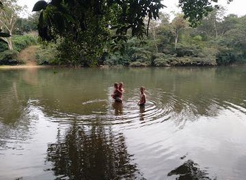 belize/san-ignacio/attraction/belize-raptor-center