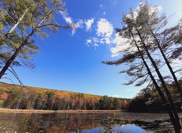 massachusetts/berkshires/attraction/fountain-pond-state-park