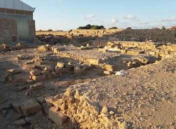 cyprus/paphos/attraction/house-of-aion