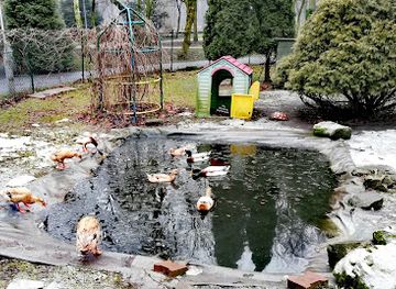 poland/silesia/attraction/mini-zoo