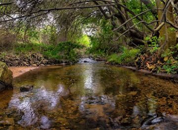 south-africa/eastern-cape/attraction/newton-park-nature-reserve