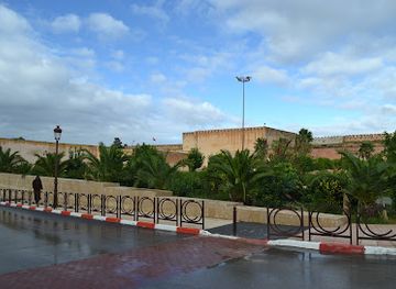 morocco/anti-atlas/attraction/bab-el-mansour-laalej