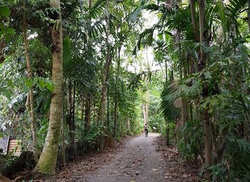 singapore/pulau-ubin/attraction/sensory-trail