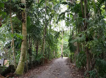 Sensory Trail