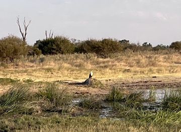 botswana/okavango-delta/attraction/ng-25-ngamiland-adventure-safaris