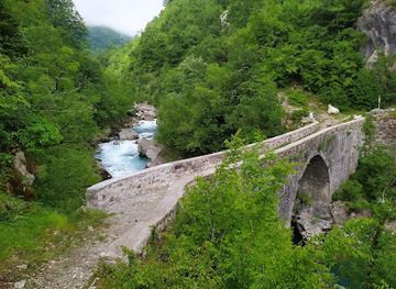 montenegro/tara-river-valley/attraction/danilov-most