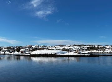 norway/nordland/attraction/steinar-breiflabb