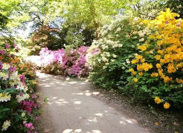 united-kingdom/surrey/attraction/plunket-memorial-viewpoint