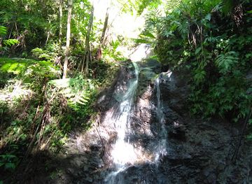 saint-lucia/choiseul-quarter/attraction/cozy-falls-jetwin-la-haut