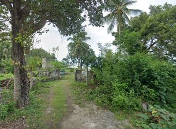 philippines/siquijor/attraction/caticugan-beach