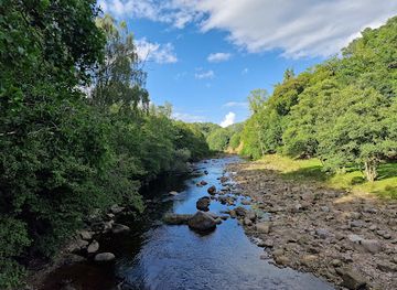 united-kingdom/northumberland-coast/attraction/national-trust-allen-banks-and-staward-gorge