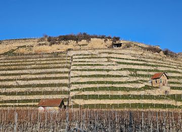 germany/stuttgart/bad-cannstatt/attraction/cannstatter-zuckerle