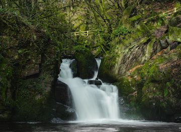 ireland/county-cork/attraction/mullinhassig-wood-waterfalls-aghavrin
