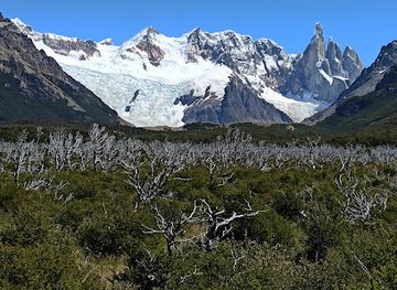 argentina/cerro-fitz-roy/attraction/mirador-del-cerro-torre