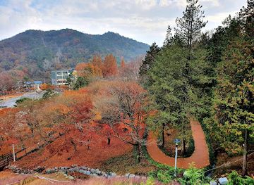 south-korea/naejangsan-national-park/attraction/jeongeupsa-park