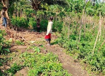 burundi/makamba/attraction/tamfu-plaza-west-coast-beach