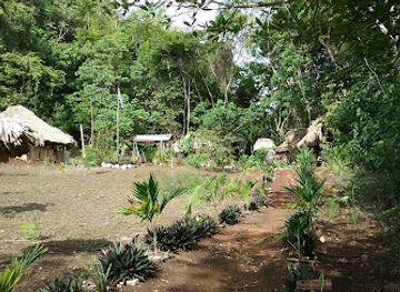 belize/mountain-pine-ridge-forest-reserve/attraction/cannah-mul-jungle-expedition