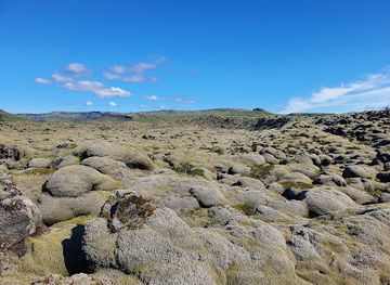 iceland/landmannalaugar/attraction/eldhraun-lava-field