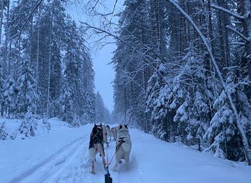 finland/espoo/attraction/arctic-expedition-huskies-oy