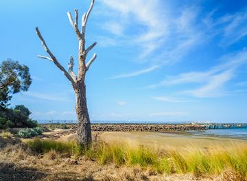 australia/mornington-peninsula/attraction/woolley-s-beach-reserve