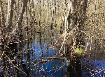 denmark/south-zealand/attraction/ulvshale-naturcenter