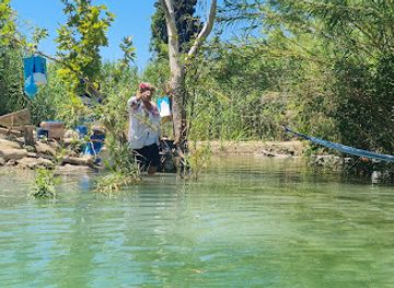 greece/dodecanese/attraction/jungle-of-rhodes-meetingpoint-nikos-papas