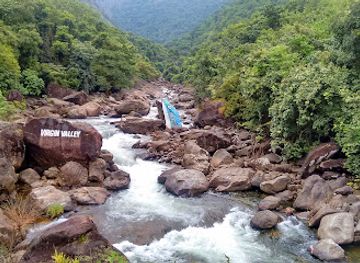 india/kerala-backwaters/attraction/virgin-valley-kuruthichal