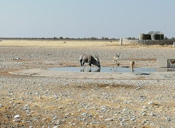 namibia/oshikoto/attraction/gemsbokvlakte