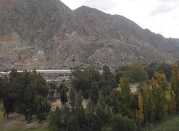 puerto-rico/san-juan/attraction/federico-cantoni-park