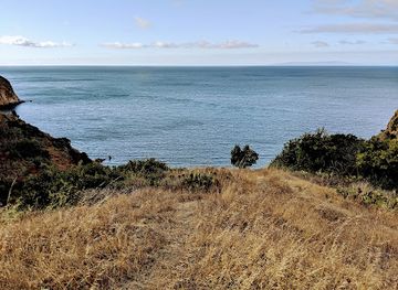 california/santa-catalina-island/attraction/goat-harbor